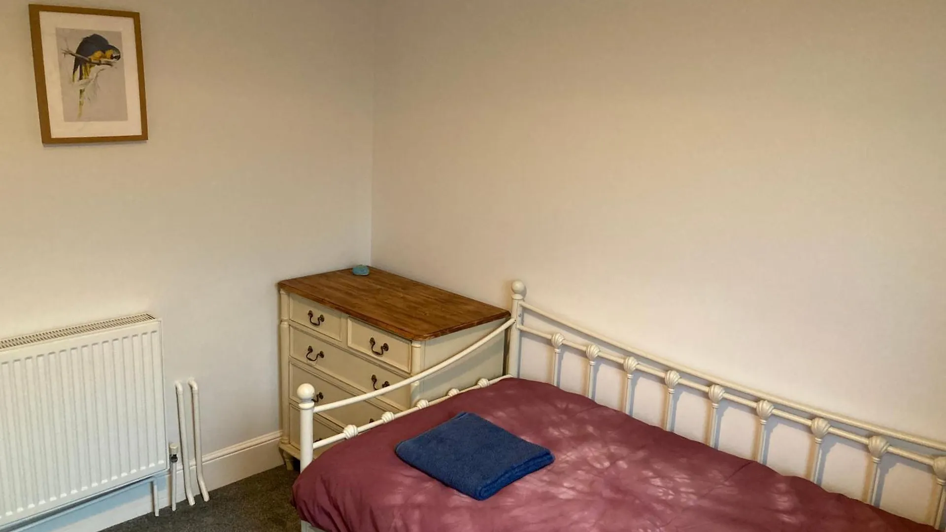 Apartment 3 Bedroom Victorian House Close To City Centre Exeter